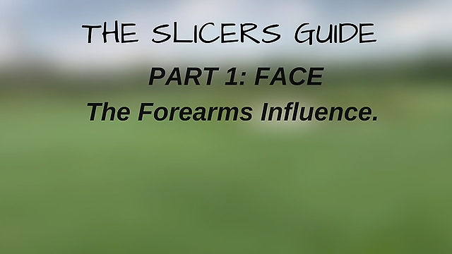 Slicing Guide: Part 1: Face - Forearms
